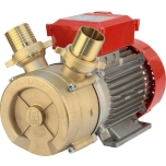 BE-M 50 electric transfer pump