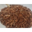 Cinchona red bark cut (cinchona pubesens)
